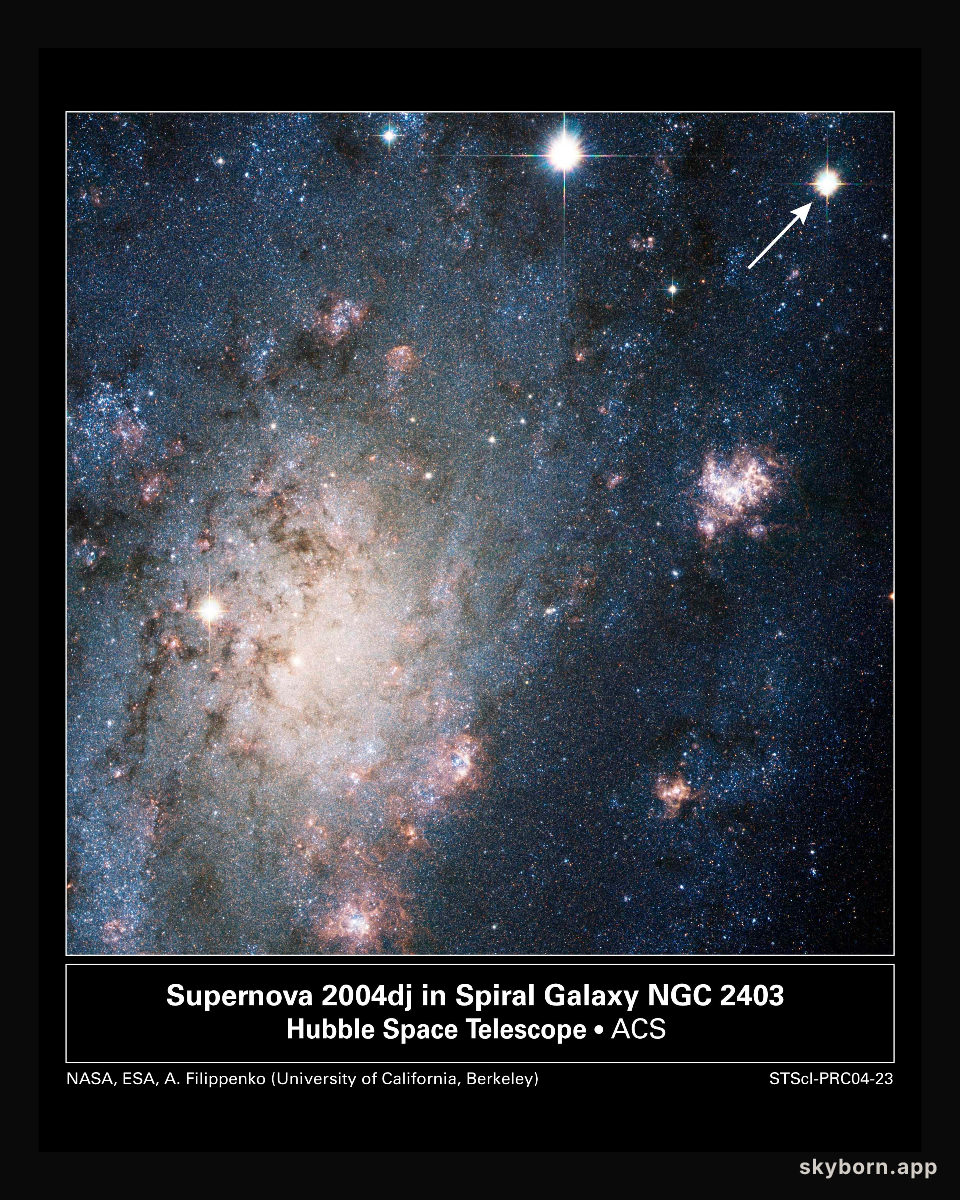 A Supernova in Nearby Galaxy NGC 2403