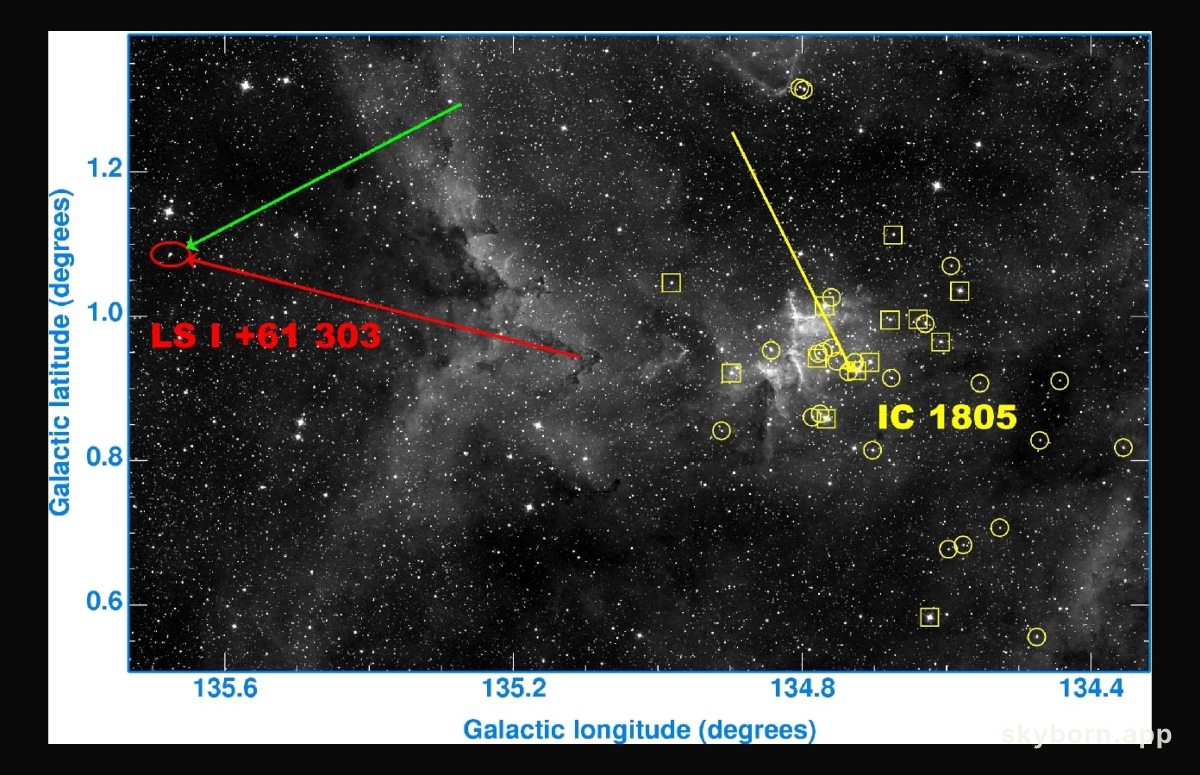Microquasar in Motion