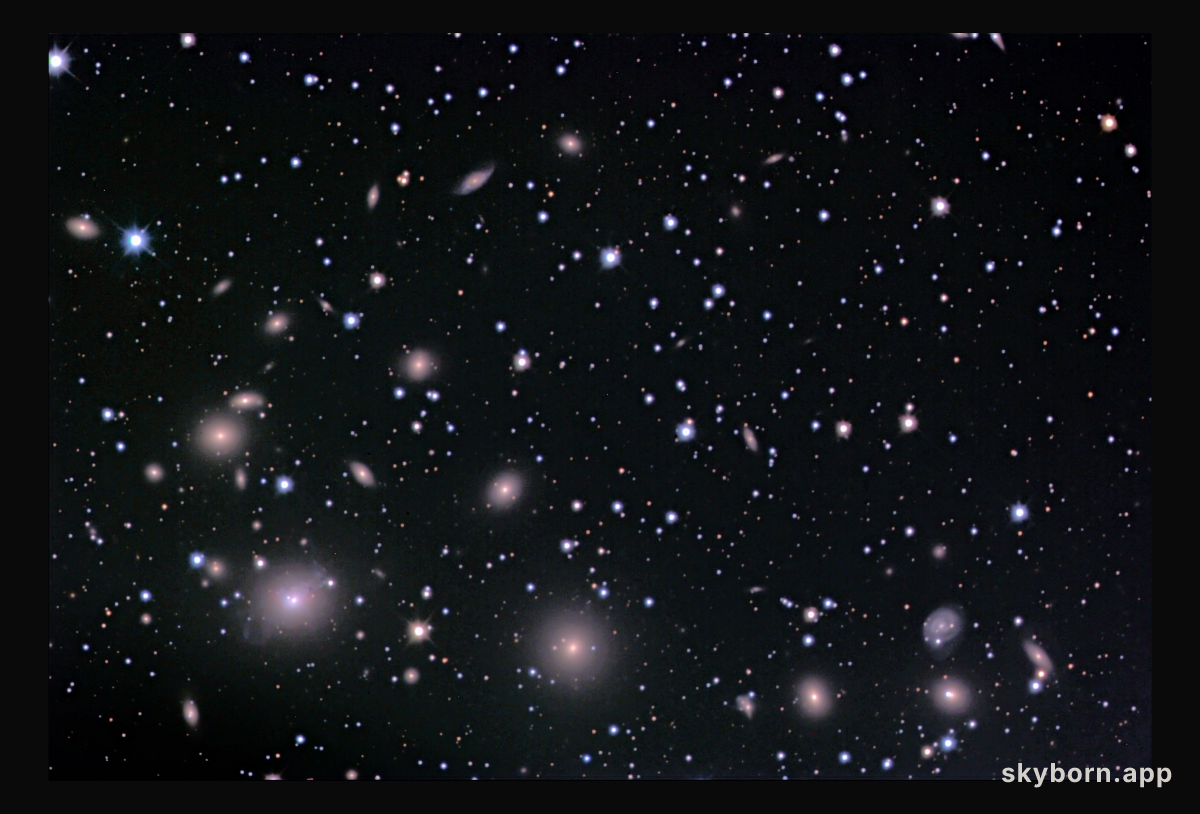 The Perseus Cluster of Galaxies