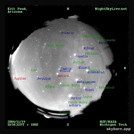 Leonid Meteors Streak
