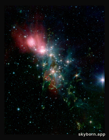 Dusty NGC 1333