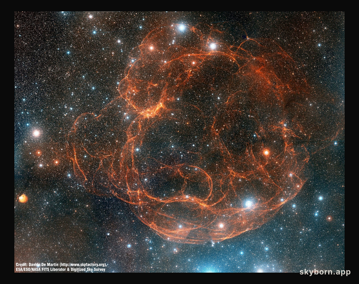 Simeis 147: Supernova Remnant from Palomar