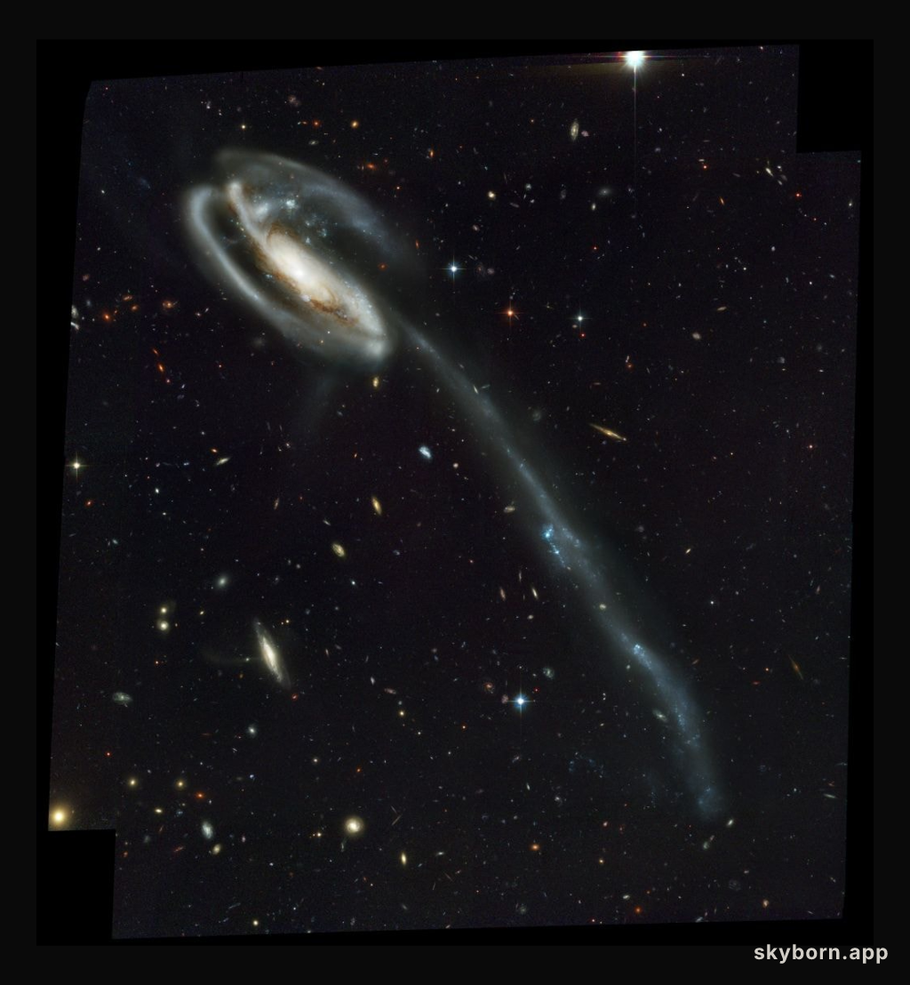 Arp 188 and the Tadpole's Tidal Tail