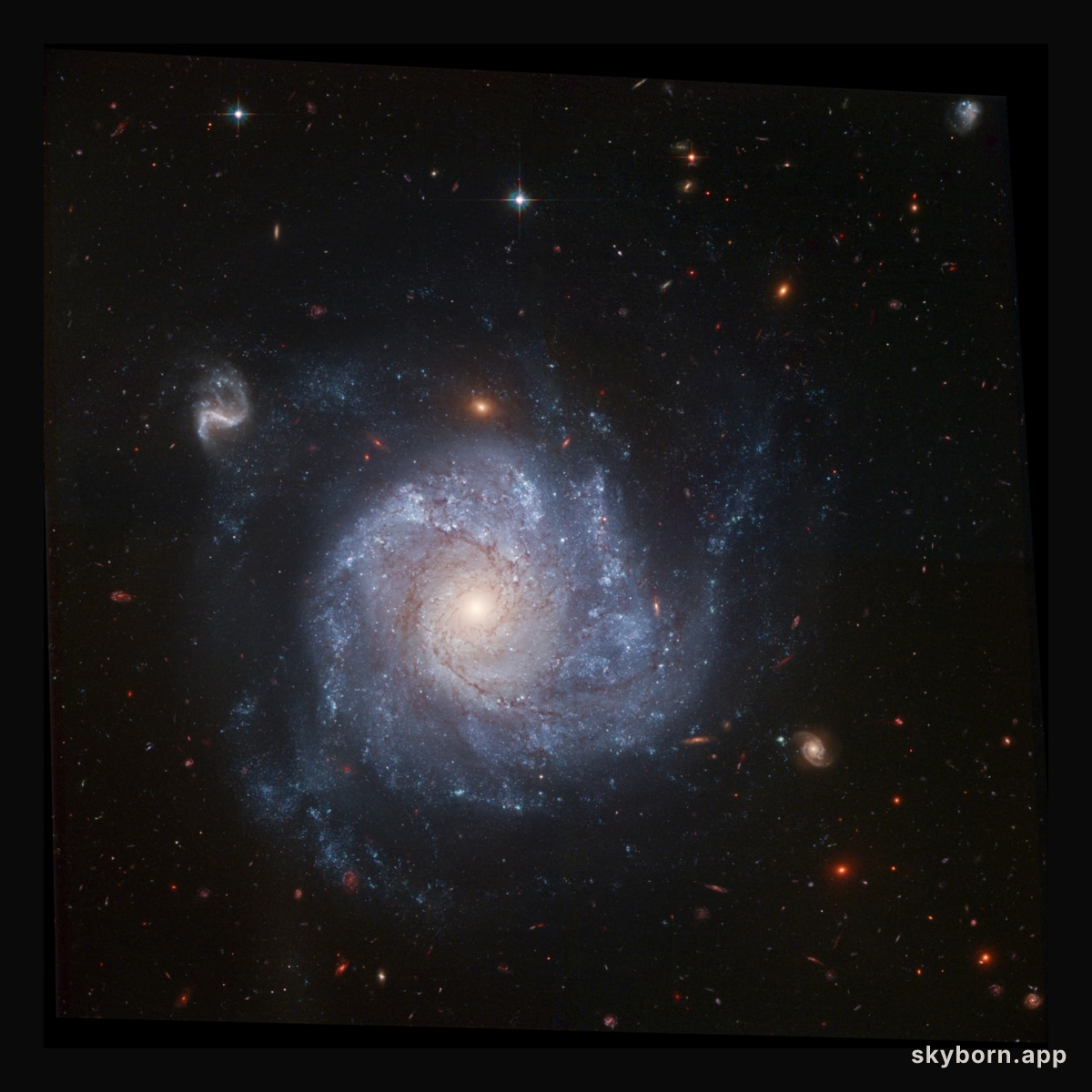 NGC 1309 and Friends