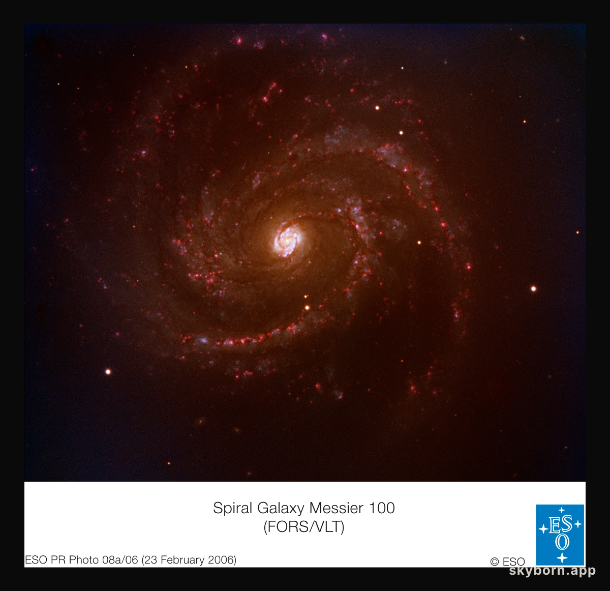 A Nearby Supernova in Spiral Galaxy M100