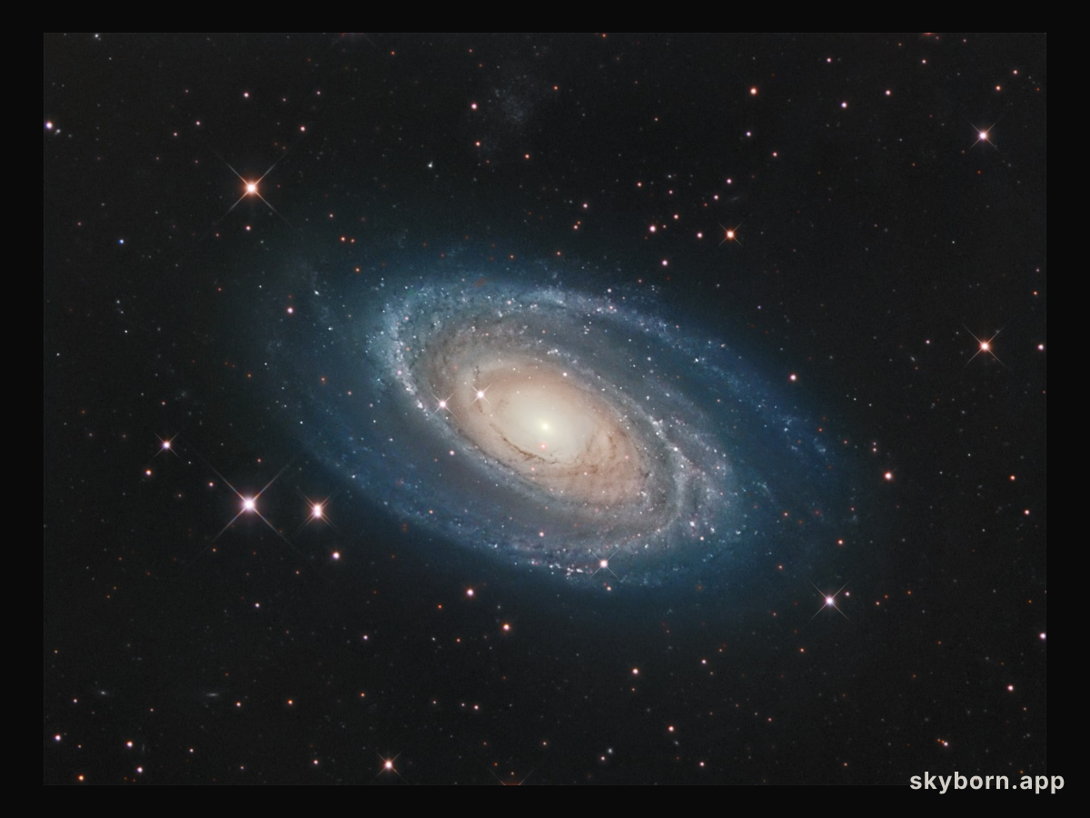 Bright Galaxy M81