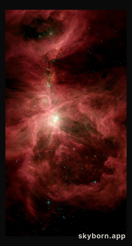Spitzer's Orion
