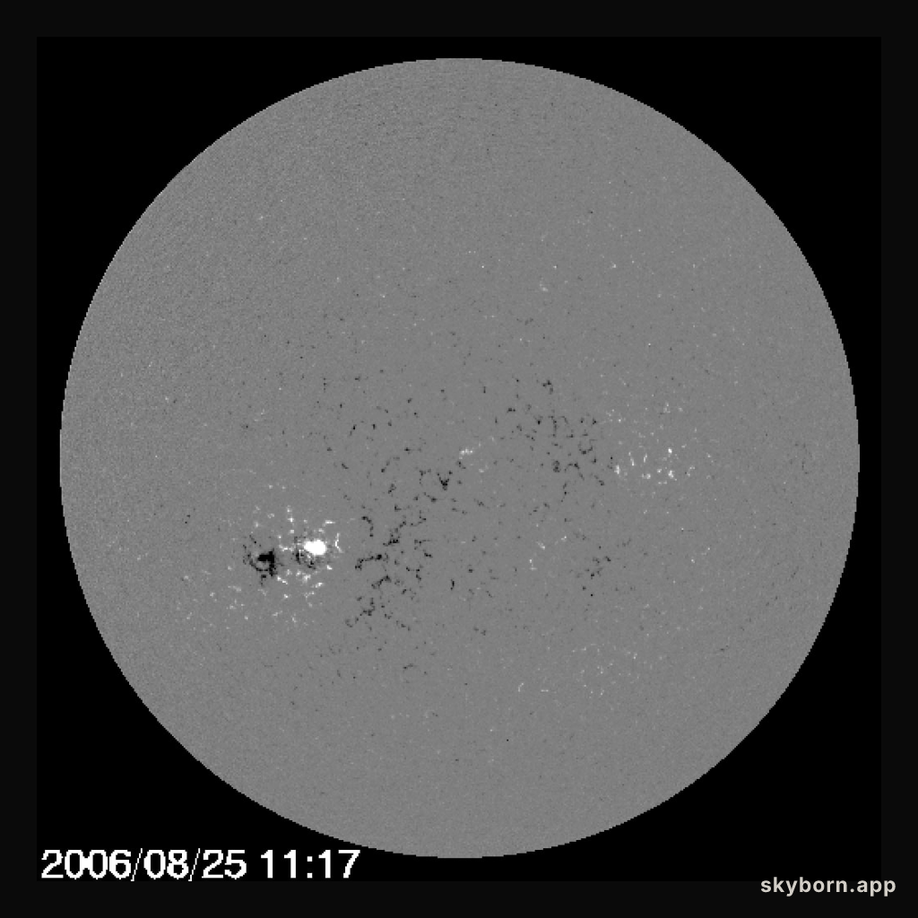 A Backward Sunspot and the New Solar Cycle
