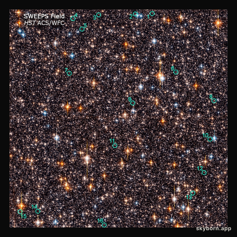 The Hubble SWEEPS Field