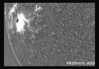 A Large Tsunami Shock Wave on the Sun