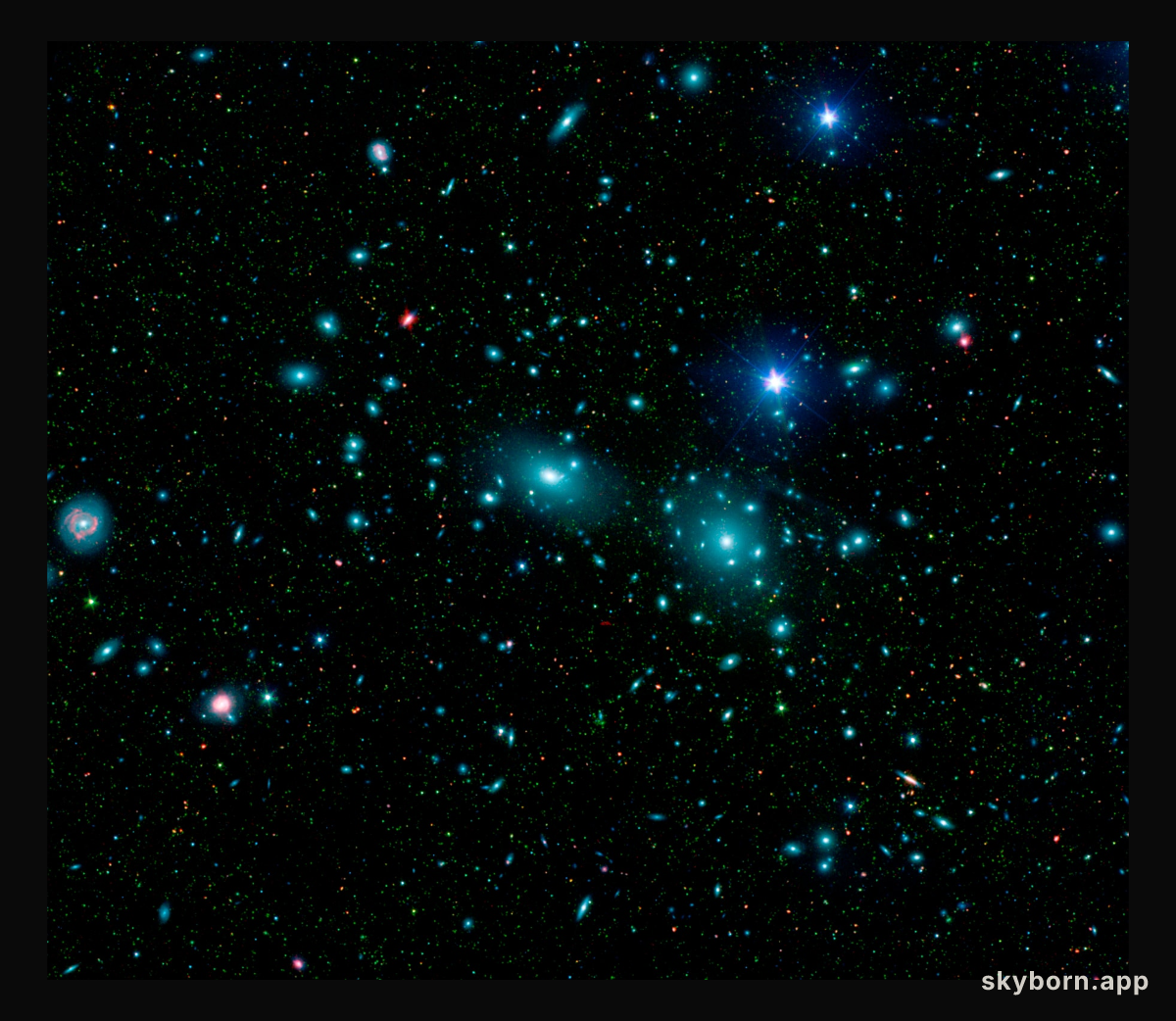 Dwarf Galaxies in the Coma Cluster