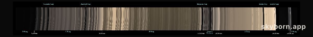 Ring Scan