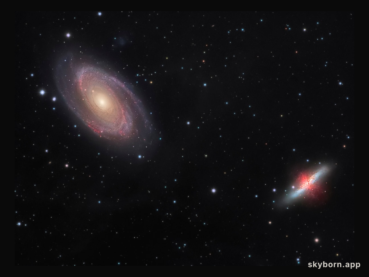 Galaxy Wars: M81 versus M82
