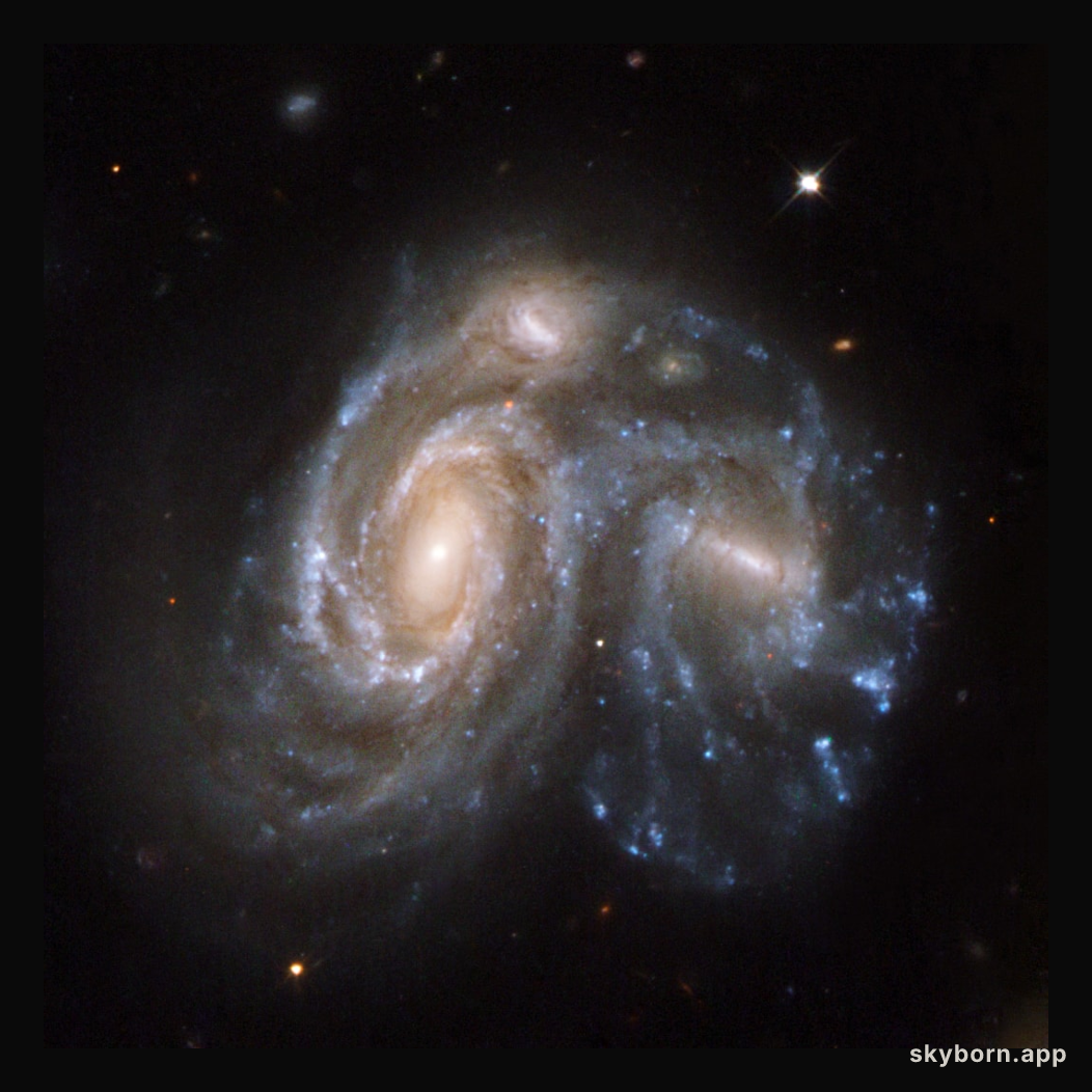 Arp 272