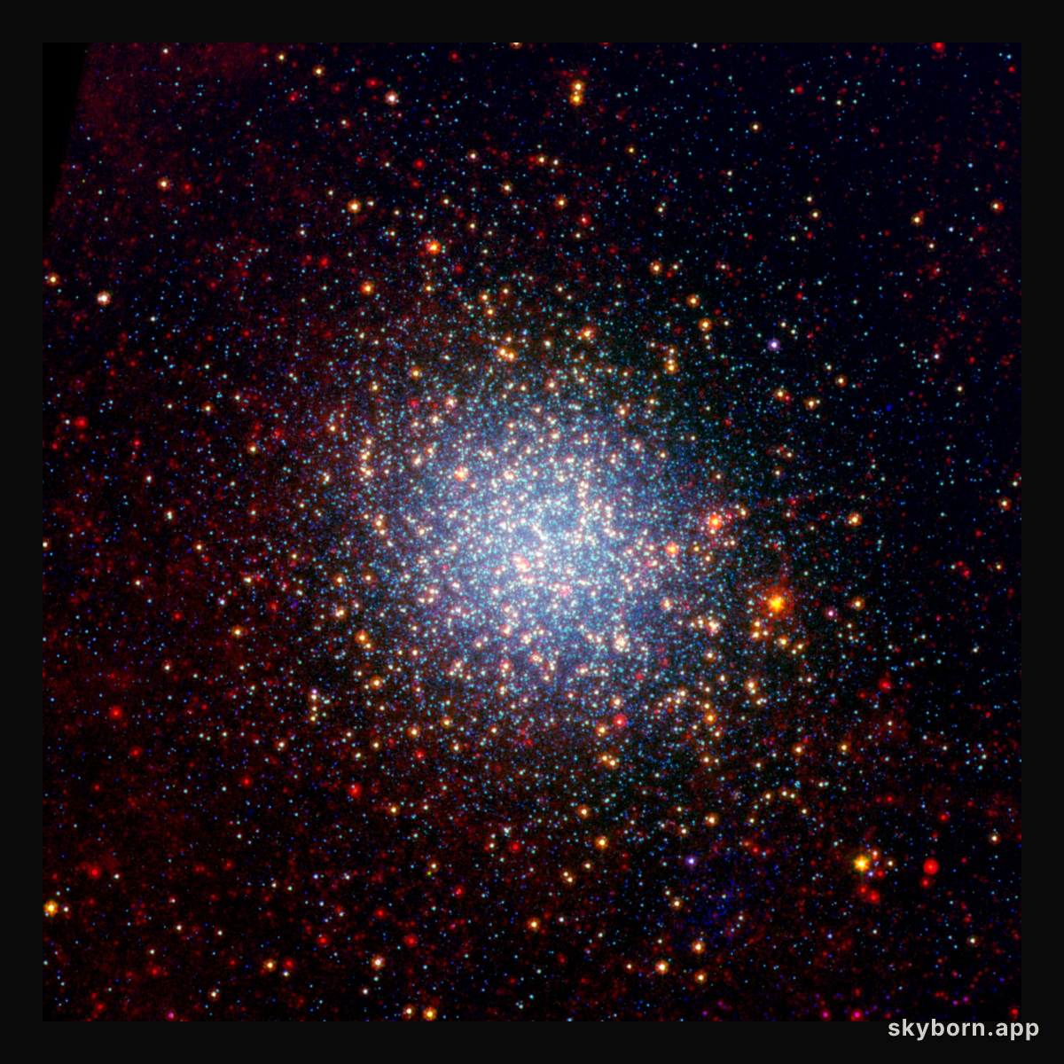 The Giants of Omega Centauri