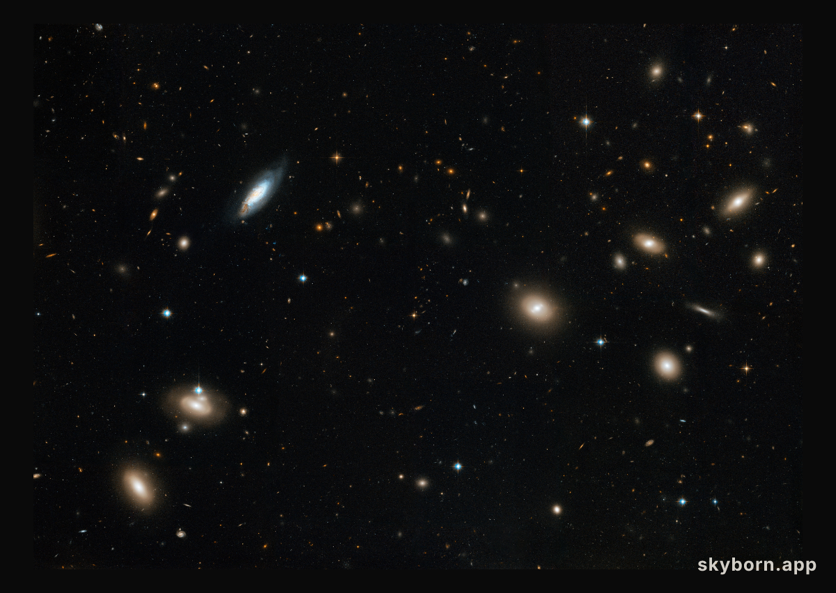 Inside the Coma Cluster of Galaxies