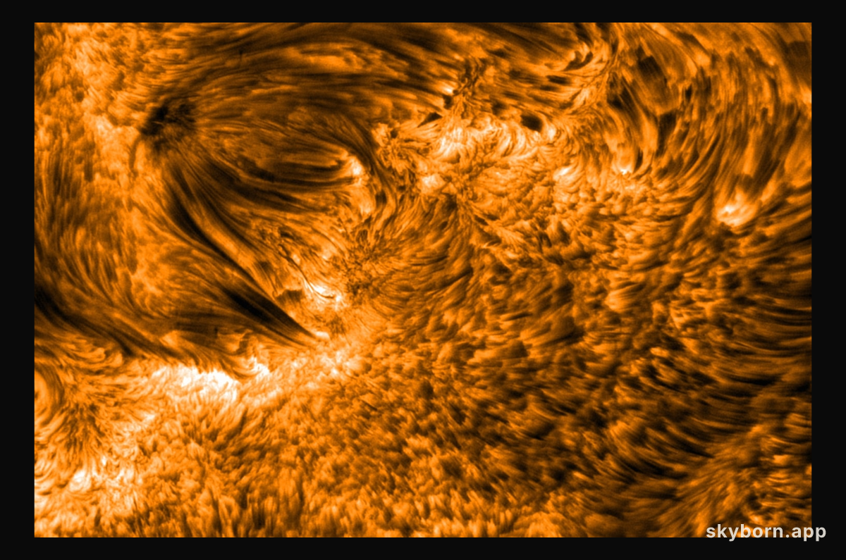 Spicules: Jets on the Sun