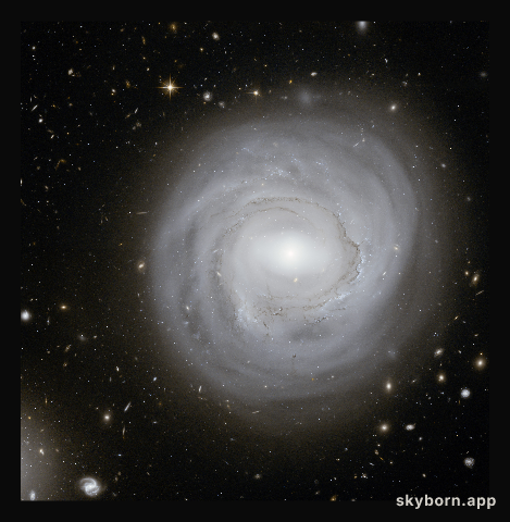 Anemic Galaxy NGC 4921 at the Edge