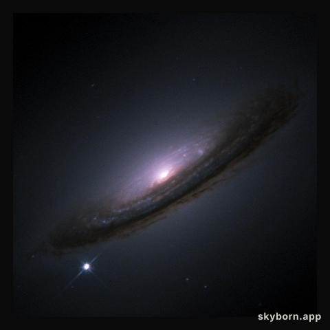 Signals of a Strange Universe