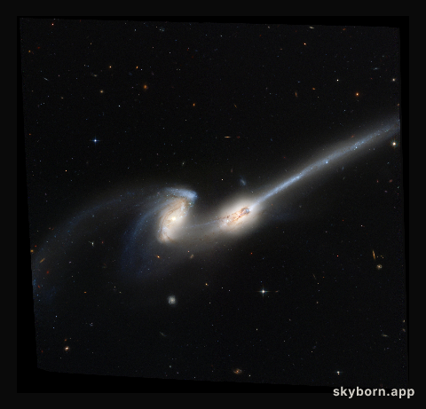 NGC 4676: When Mice Collide
