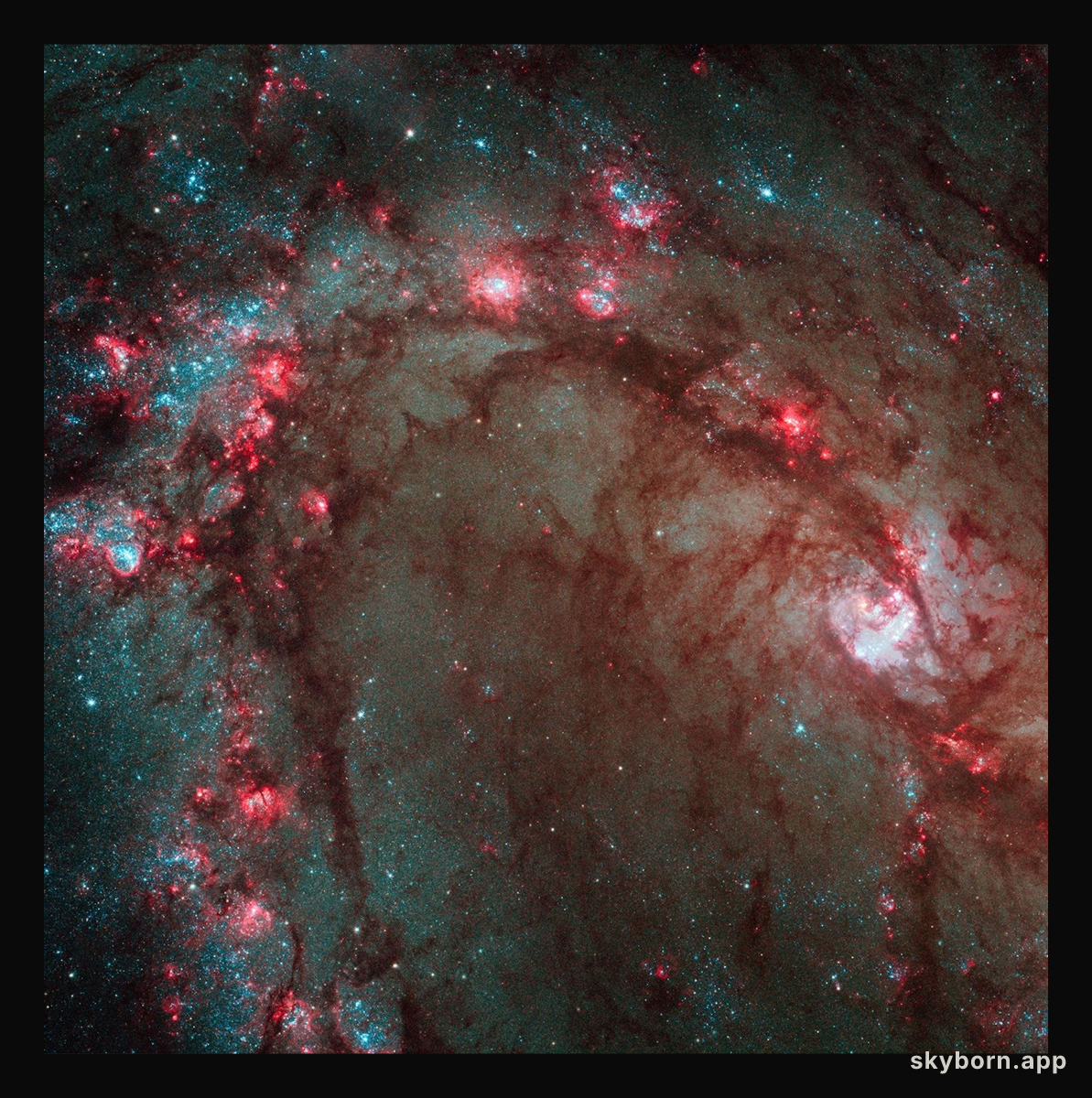 M83's Center from Refurbished Hubble