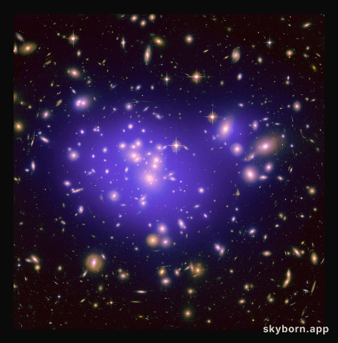 Galaxy Cluster Abell 1689 Magnifies the Dark Universe
