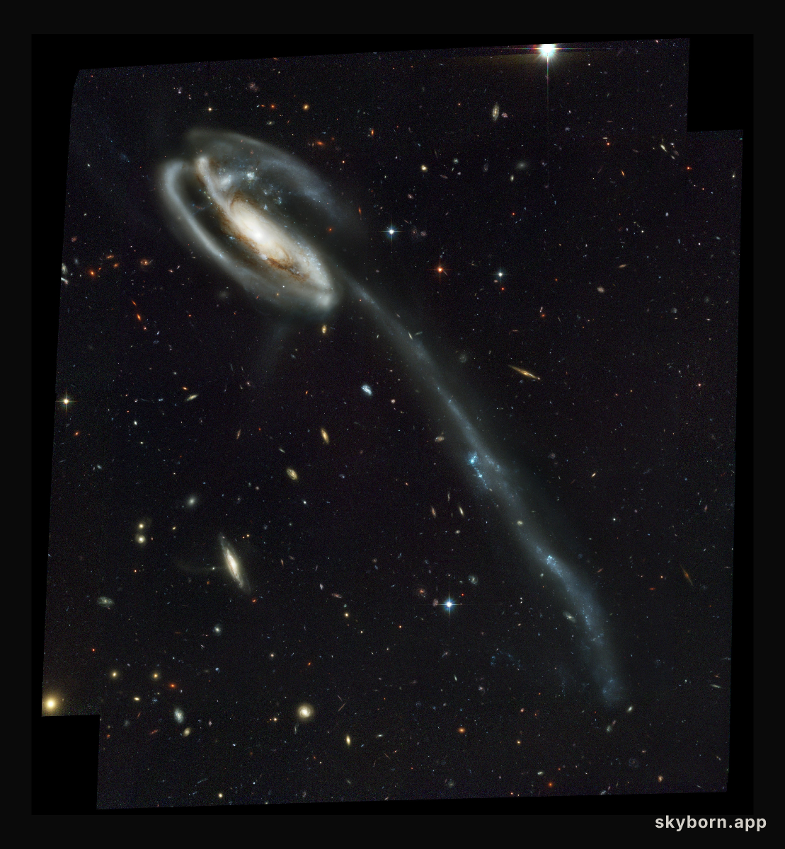 Arp 188 and the Tadpole's Tidal Tail