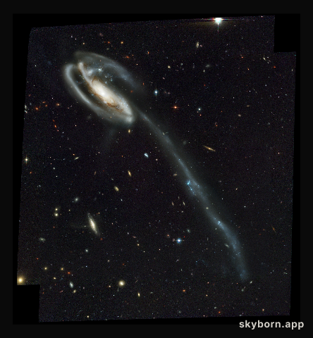 Arp 188 and the Tadpole's Tidal Tail