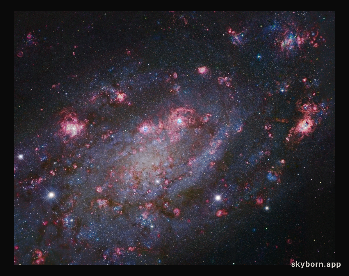 NGC 2403 in Camelopardalis