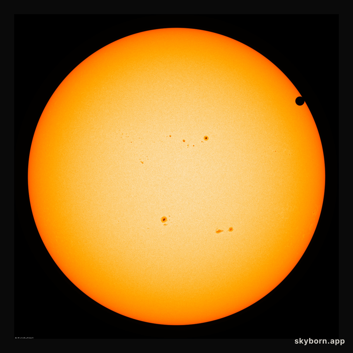 Live: Watching for Venus to Cross the Sun