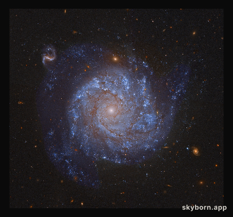 NGC 1309: Spiral Galaxy and Friends