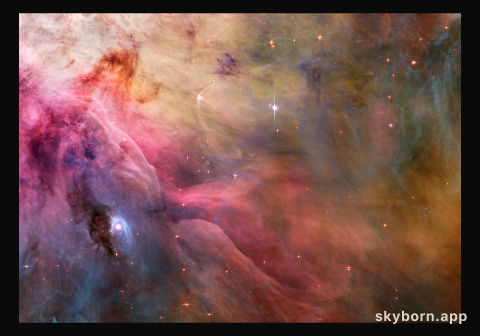 LL Ori and the Orion Nebula