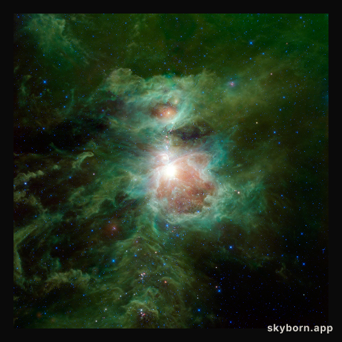 Infrared Orion from WISE