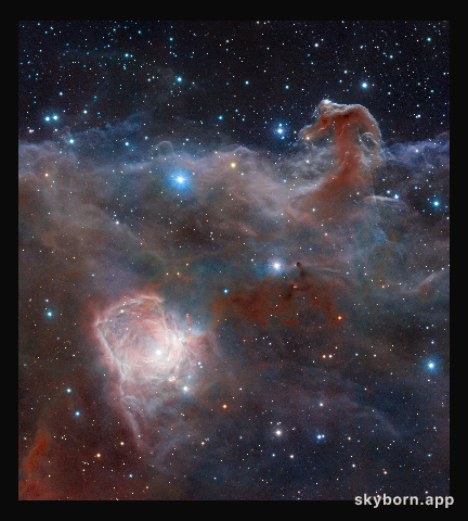 Horsehead: A Wider View