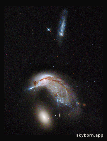 The Porpoise Galaxy from Hubble