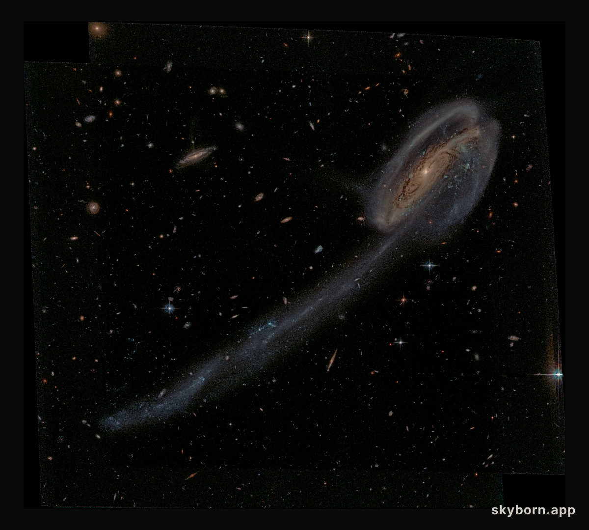 Arp 188 and the Tadpole's Tail