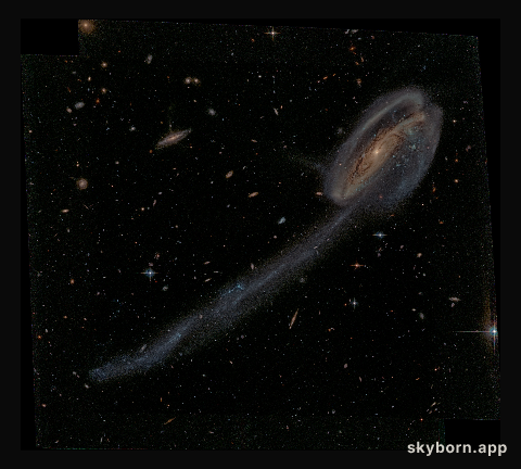 Arp 188 and the Tadpole's Tail