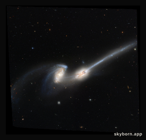 NGC 4676: When Mice Collide
