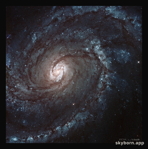 M100: A Grand Design Spiral Galaxy