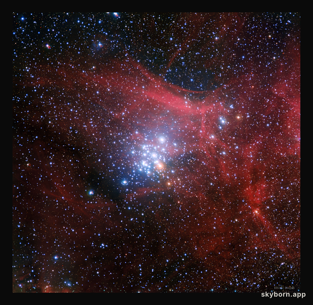 NGC 3293: A Bright Young Star Cluster