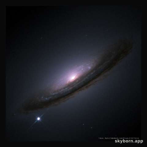 Supernova 1994D and the Unexpected Universe
