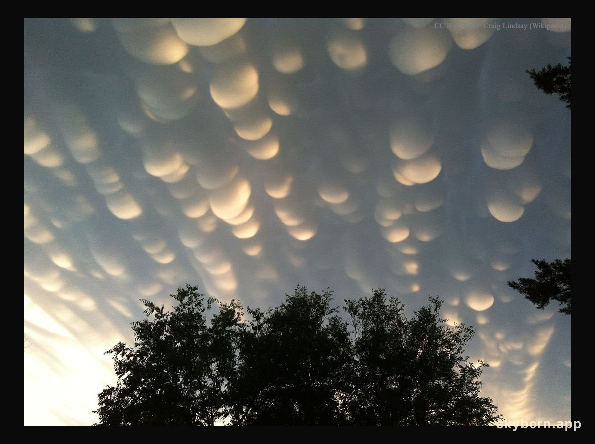 Mammatus Clouds Over Saskatchewan