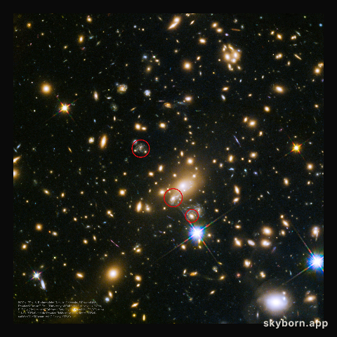 SN Refsdal: The First Predicted Supernova Image