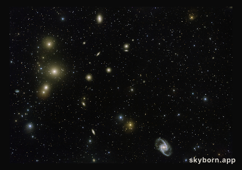 The Fornax Cluster of Galaxies