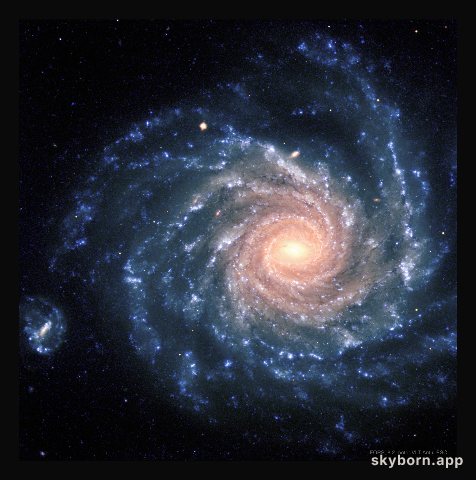 Grand Spiral Galaxy NGC 1232