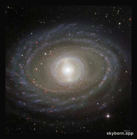 Ribbons and Pearls of Spiral Galaxy NGC 1398
