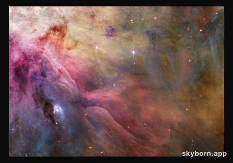LL Ori and the Orion Nebula