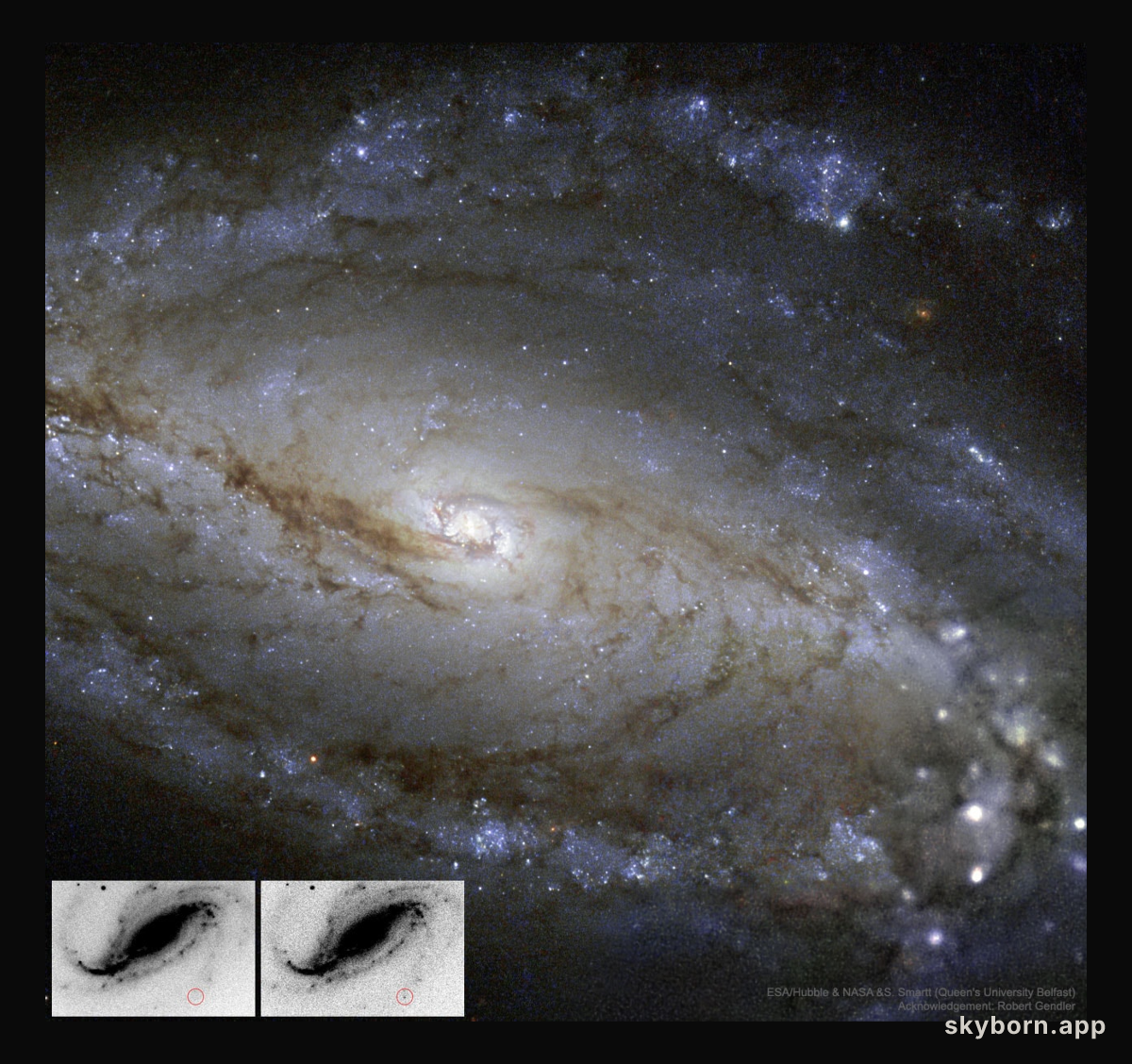 NGC 613 in Dust, Stars, and a Supernova