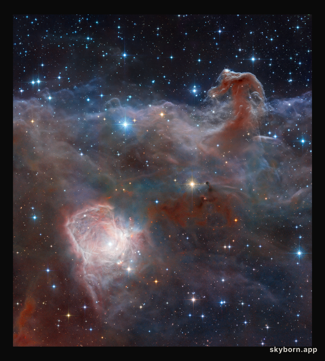 Horsehead: A Wider View