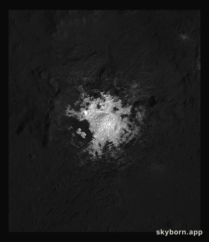 Cerealia Facula